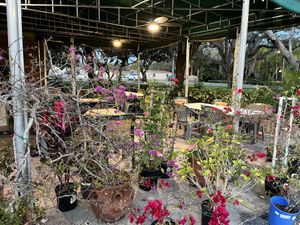 Outdoor seating  at Bread and Butter Deli in Tarpon Springs