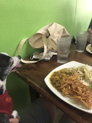 Aquí almorzando con Tequila 🐶 at Susbida in San Jose