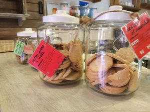   at Canape Incontro in Bologna