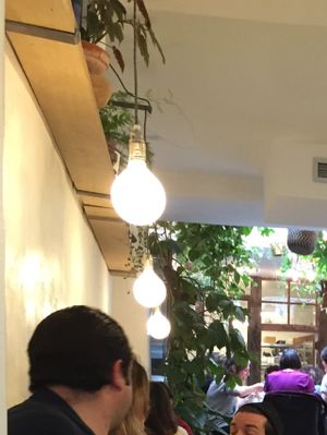 looking back from the center of the restaurant at Wild & The Moon - rue Charlot in Paris