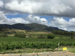 Overlooking the vineyards from the verandah.  at Love Kitchen in Pokolbin