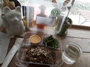 Not Vegan (contains honey) Sobe noodles with minty salad, slaw, & ginger dressing at Squeeze Juice Works in St Petersburg