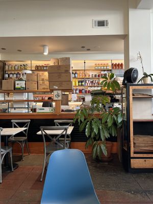   at The Butcher's Son in Berkeley