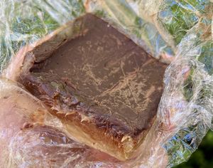   at The Butcher's Son in Berkeley