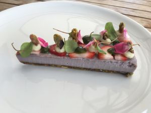 Non-dairy Cheesecake  at Plant Food and Wine in Miami