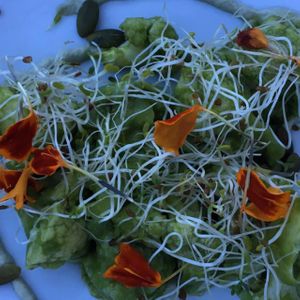 Another Course at Plant Food and Wine in Miami