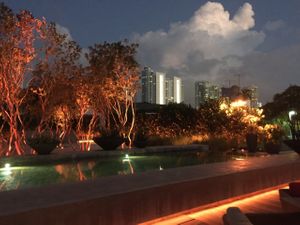 beautiful views at Plant Food and Wine in Miami