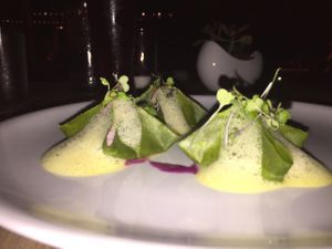 kimchi dumplings- highly recommend them! at Plant Food and Wine in Miami