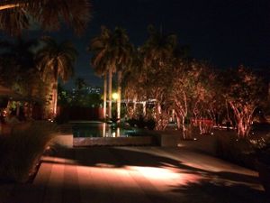 sit outside! at Plant Food and Wine in Miami