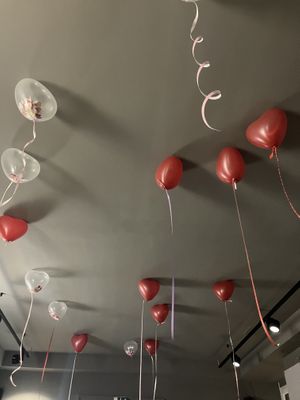   at Tata Restaurant in Vienna