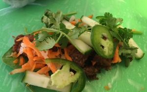 Spring Rolls! at Vu Noodles in Charlottesville