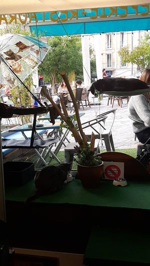 💜 at Cosy Lunch in Rouen