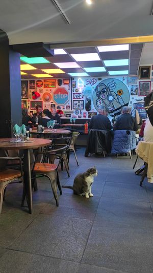 Inside at Cosy Lunch in Rouen