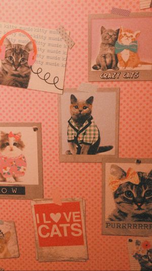 Cute bathroom wallpaper at Cosy Lunch in Rouen