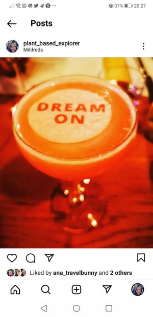  at Mildreds - Kings Cross in North London