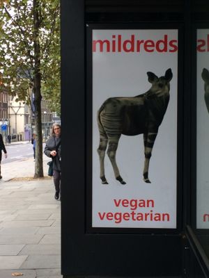 In front of restaurant at Mildreds - Kings Cross in North London