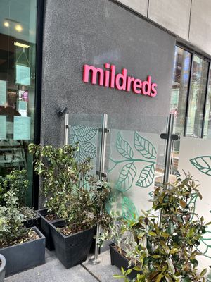 Outside   at Mildreds - Kings Cross in North London