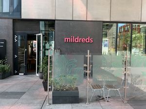   at Mildreds - Kings Cross in North London