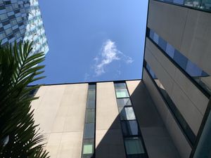   at Mildreds - Kings Cross in North London