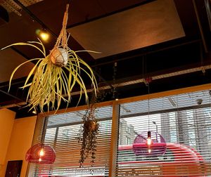 Airy space   at Mildreds - Kings Cross in North London