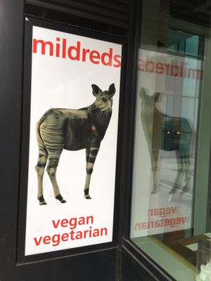 Veg VG at Mildreds - Kings Cross in North London