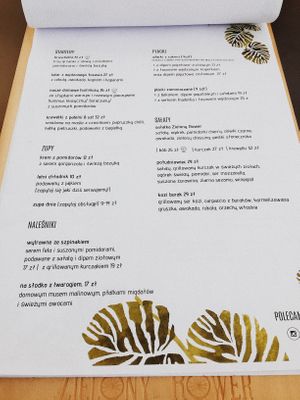 Lunch menu at Zielony Rower in Gdynia