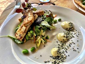 Marinated tofu with broccoli & edamame slaw, mesclun salad, miso dressing, vegan furikake, shiso microgreens, & vegan wasabi mayo at Kai Whakapai Cafe and Bar  in Wanaka