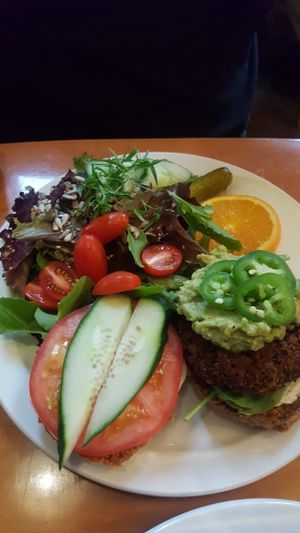 Black Bean Burger at Poyo & the Sprout in St Johns