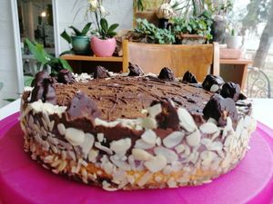 Raw vegan cake "Miss Raw" 🌷😎 at Hummus House - Хуммус Хауc in Pleven