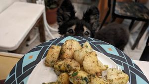 Aromatic sauteed potatoes (traditional Bulgarian dish with potato, onion, garlic, dill, spices) at Hummus House - Хуммус Хауc in Pleven