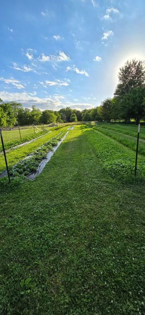  at LT Organic Farm Restaurant in Waukee