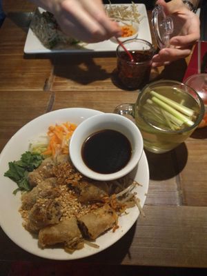 Vegetable spring rolls and rice noodles (vegan option) with ginger and lemongrass tea at Pho in Cambridge
