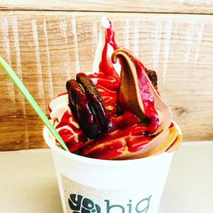 Froyo!! at Yorica in London