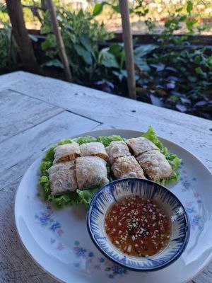 Special Spring Rolla at Am Vegetarian & Hideaway in Hoi An