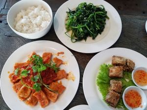 tofu in tomato sauce, spring rolls, morning glory, and steamed rice at Am Vegetarian & Hideaway in Hoi An