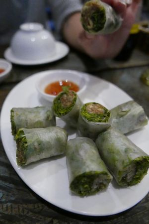 Fresh spring rolls at Am Vegetarian & Hideaway in Hoi An