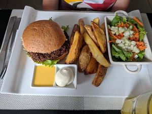 Quinoa burger- the aioli is delicious  at Seitan Urban Bistro in Lima