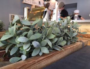 inside  at Sweet Life American Bakery and Specialty Coffee Bar in Krakow