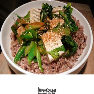 vegan stir-fried chinese broccoli with garlic sauce - photo by MR MEANER at Vegan Plate in Studio City