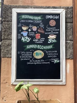   at Biokalma in Mallorca