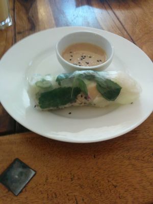 Spring roll with coconut sauce at Zen House in Berlin