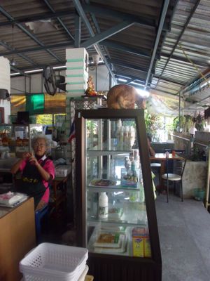 Typical staff in Thai vegan restaurants - a nice lady and a cat. :) at Vegetarian Eatery & Shop in Prachuap Khiri Khan