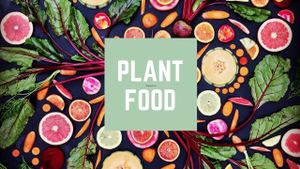 PLANT BASED CUISINE at MOLT VEG in Barcelona