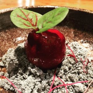 PLANT GOURMET CUISINE at MOLT VEG in Barcelona