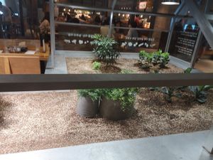 Little garden at Season's Table - Kyejeol Babsang - 계절밥상 용산아이파크몰점 in Seoul