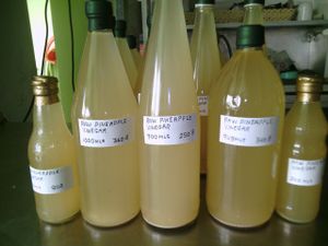 4 Sale: Raw apple cider vinegar, unfiltered, unpasteurized, unheated. Prices and amounts as pictured. Available at Sing Johnson Garden Home, 31 Soi 22 Chotana Road, Chiang Mai. GPS coordinates 18.835285 98.978192 Pictures on Happy Cow at The Vegan Shop in Chiang Mai