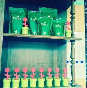 The tea here is amazing ! proper fresh organic tea, in eco friendly infusers :) at Nico's Kitchen and Lounge in Hastings