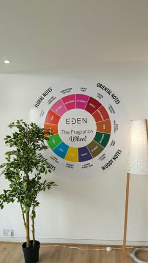 Find your fragrance at Eden Perfumes - Western Rd in Brighton