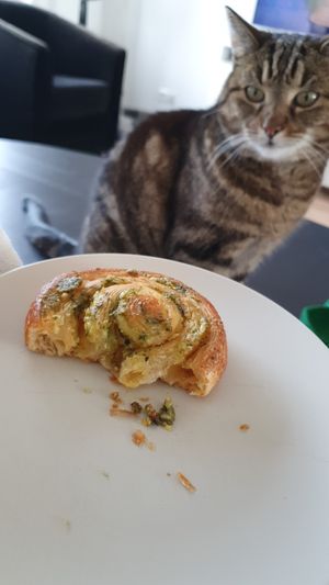 Cheese-Pesto Croissant at Het Zaanse Bakkertje / Dutch Vegan Bakery in Zaandijk