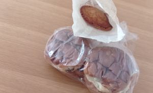 Rozijnenbollen & gevulde koek 🤤 at Het Zaanse Bakkertje / Dutch Vegan Bakery in Zaandijk